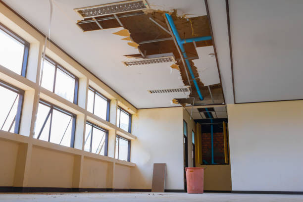 Best Water damage restoration company  in Medpolis, IA