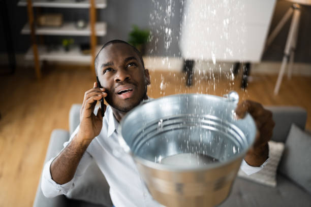 Carpet water damage restoration in IA
