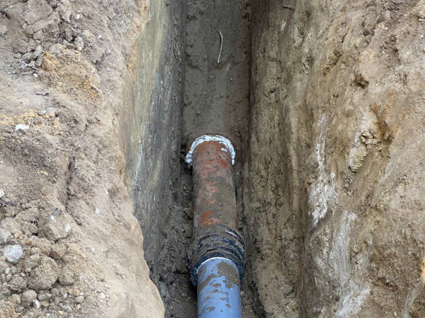 Best Sewage cleanup and water damage restoration  in Medpolis, IA