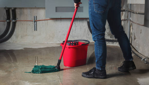 Best Mold removal after water damage  in Medpolis, IA