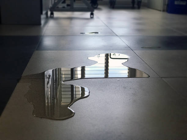 Best Carpet water damage restoration  in Medpolis, IA