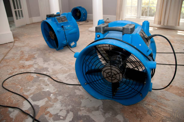 Best Residential water damage restoration  in Medpolis, IA