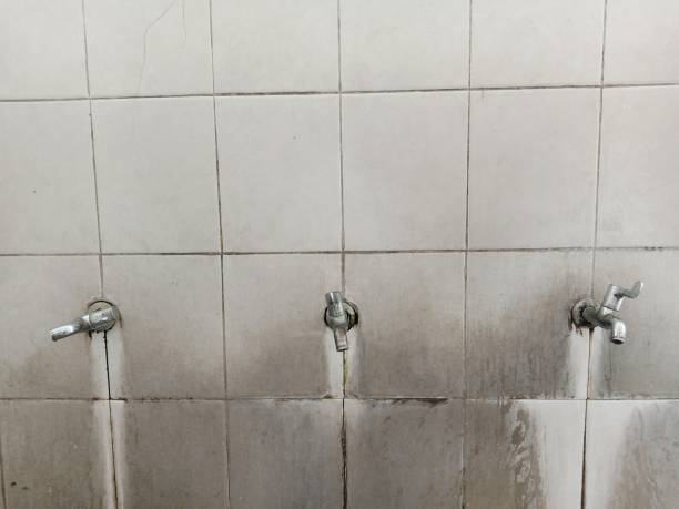 Best Basement water damage restoration  in Medpolis, IA
