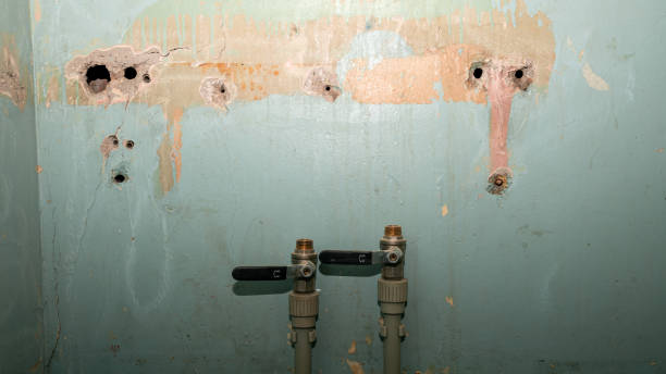Best Carpet water damage restoration  in Medpolis, IA