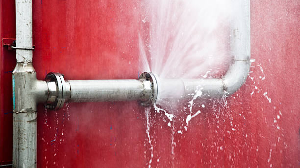Best Water damage contractors near me  in Medpolis, IA